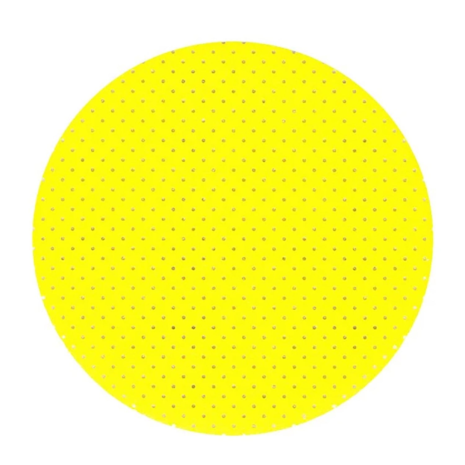 Hojas de lija perforadas radiales Richard de 5" (paquete de 5)