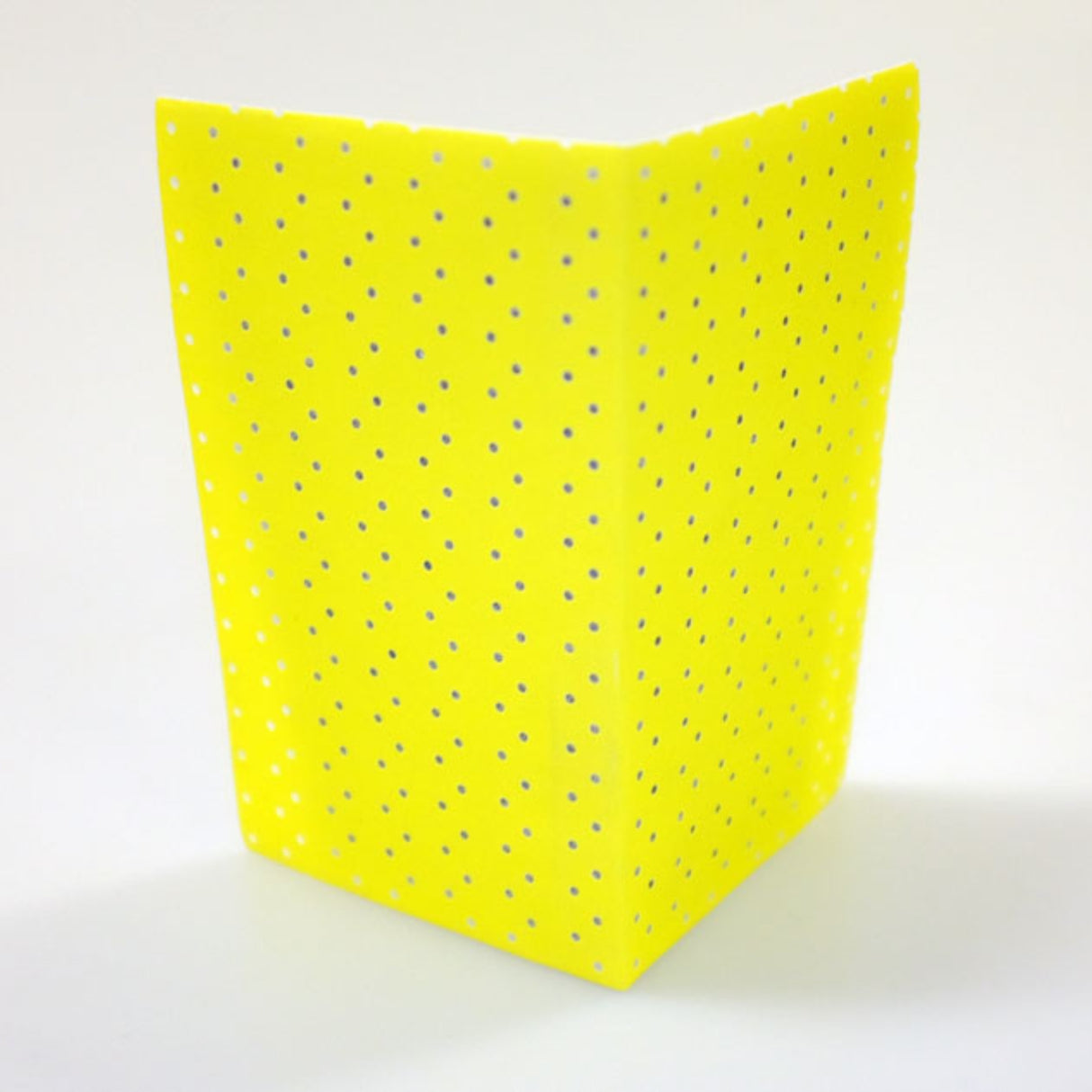 Lijadora de Colombia