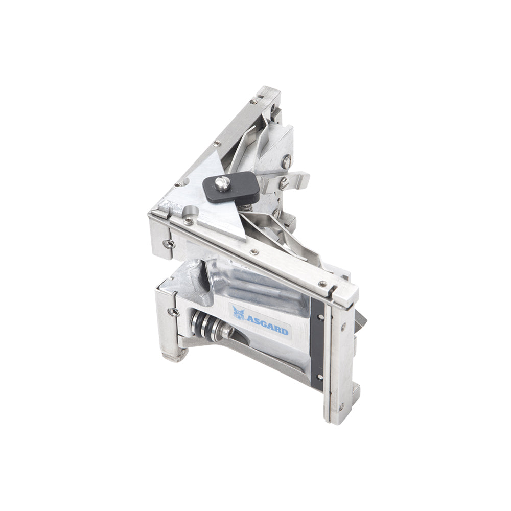 Cabeza angular de Asgard