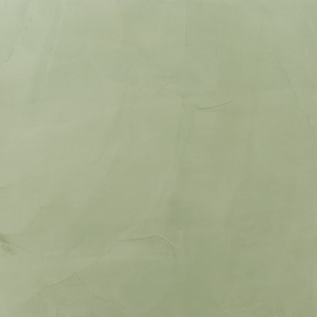 Fórmula de color Fresco Harmony Castillo Cactus - 8oz