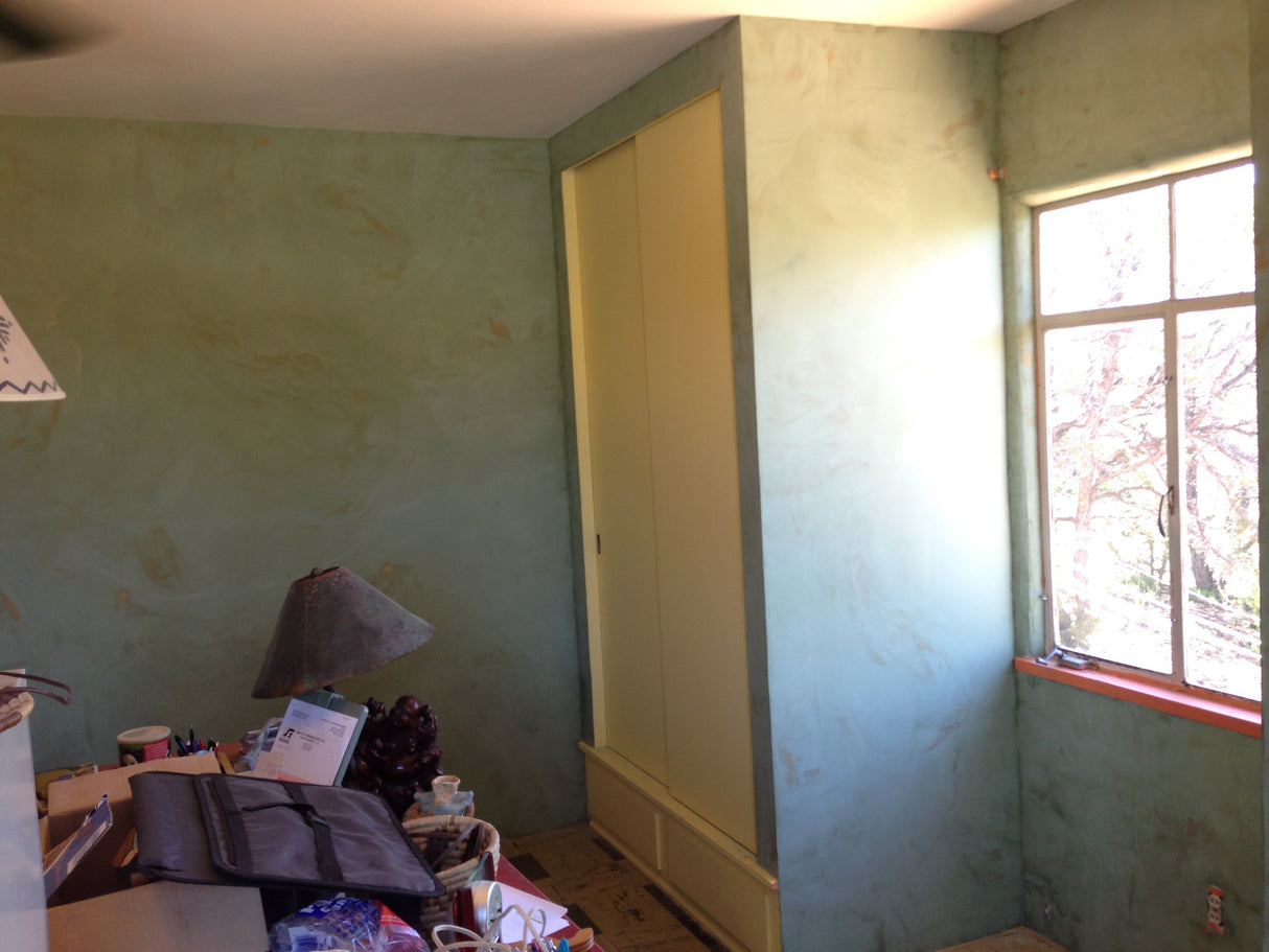 Fórmula de color Fresco Harmony Castillo Cactus - 8oz