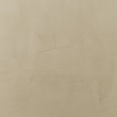 Fórmula de color Salvia Fresco Harmony Nelson - 8oz