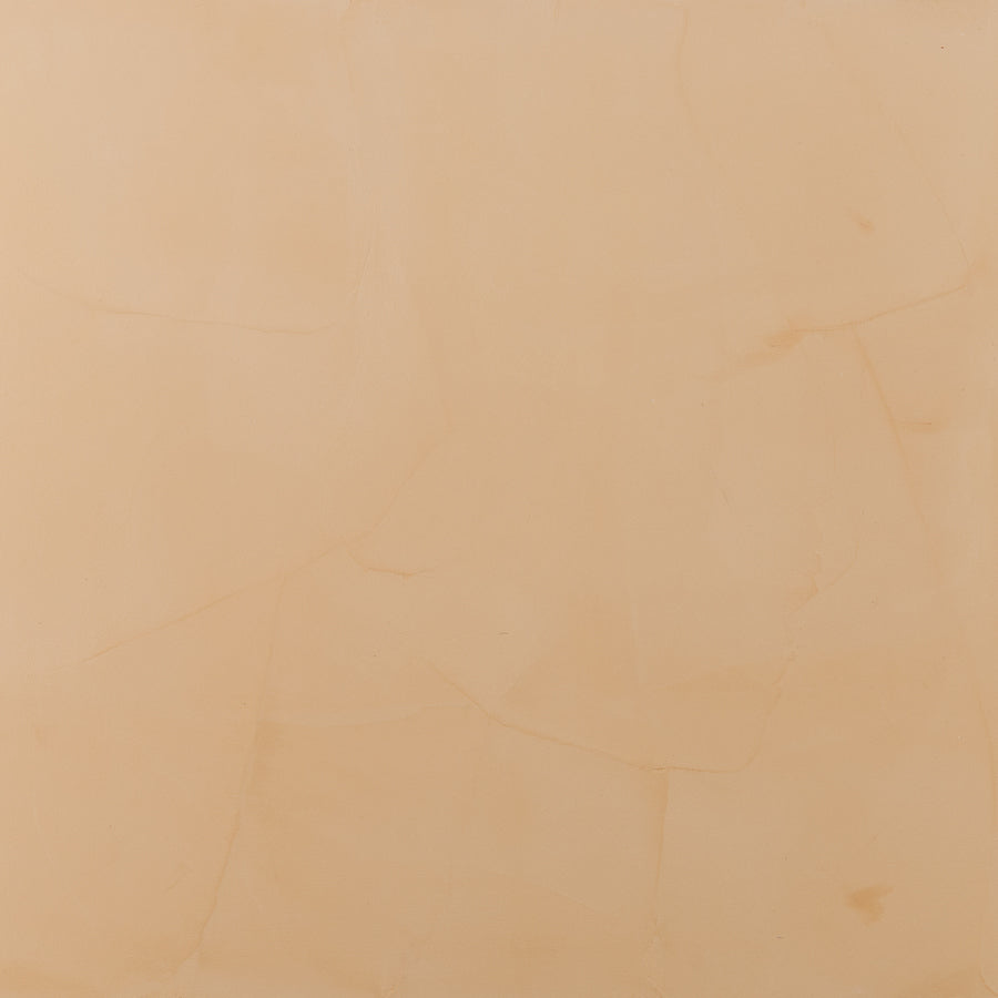 Fresco Harmony Sahara Nevada Colour Formula - 8oz