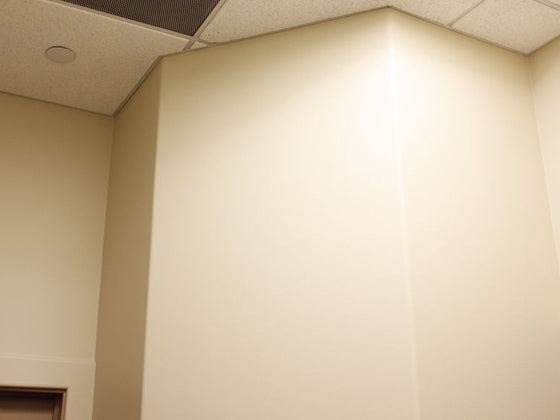 Trim-Tex 350 Esquinero extendido de punta redondeada mediana