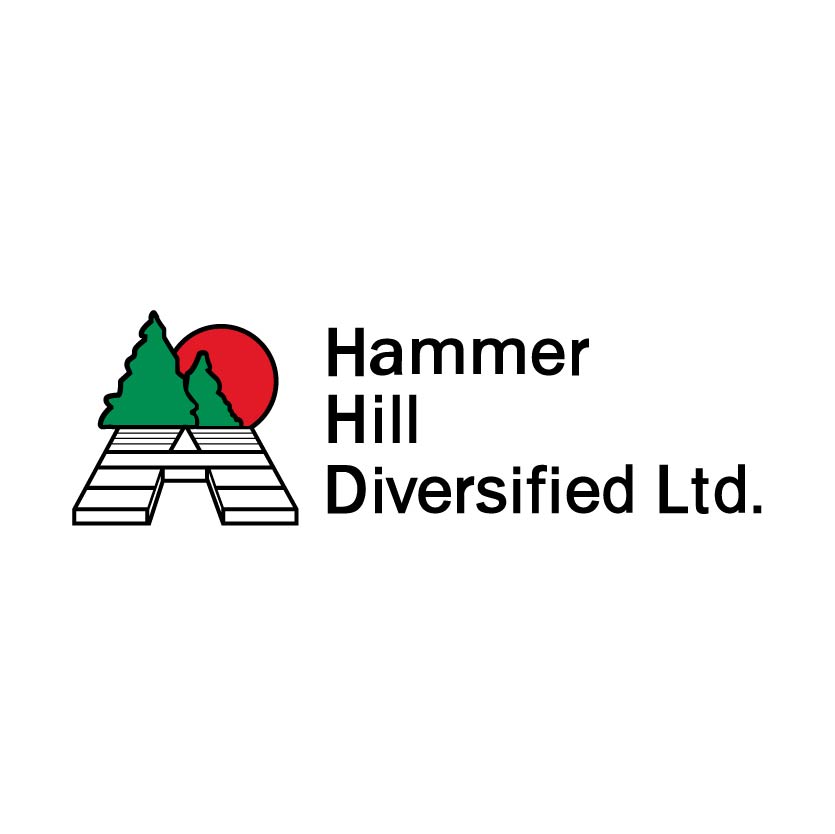 Hammer Hill