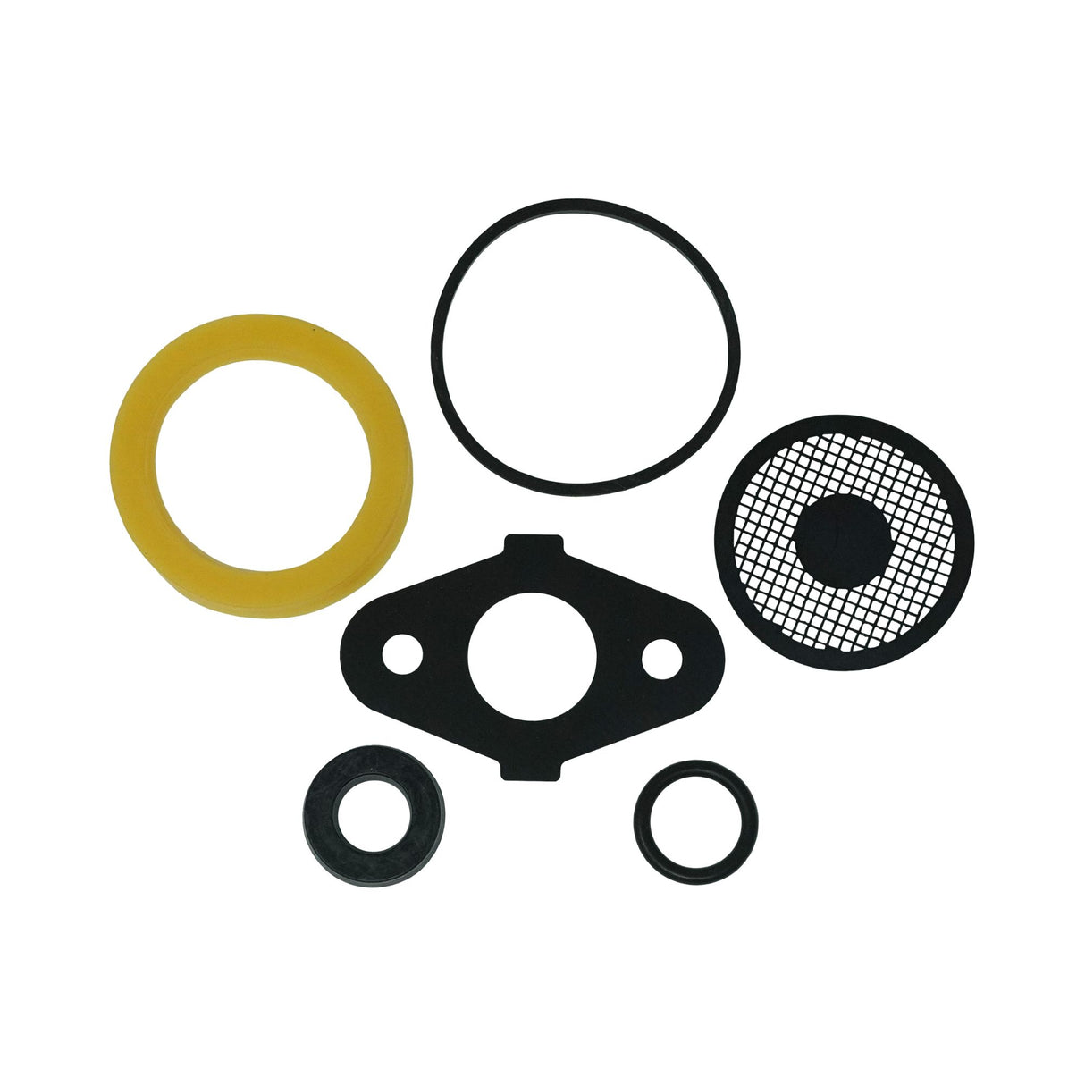 NorthStar™ Pump Repair Kit